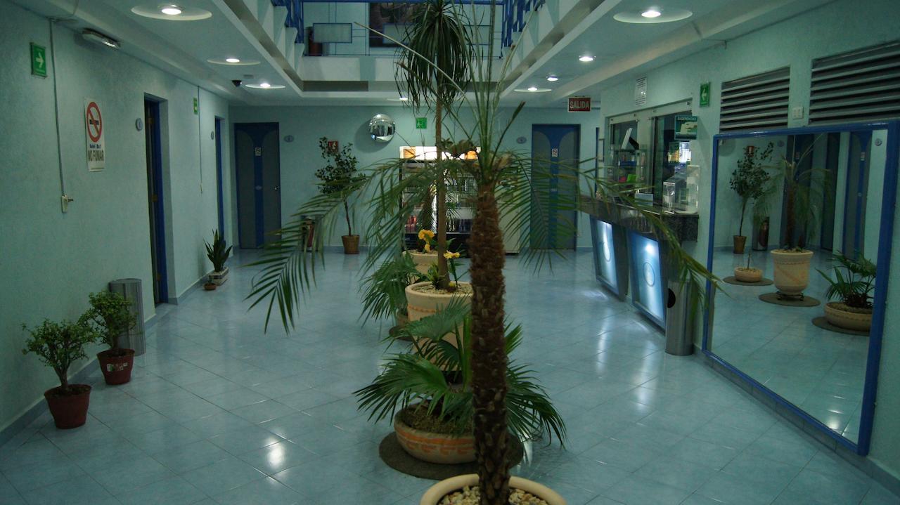 Hotel Muy (Adults Only) Meksyk Zewnętrze zdjęcie